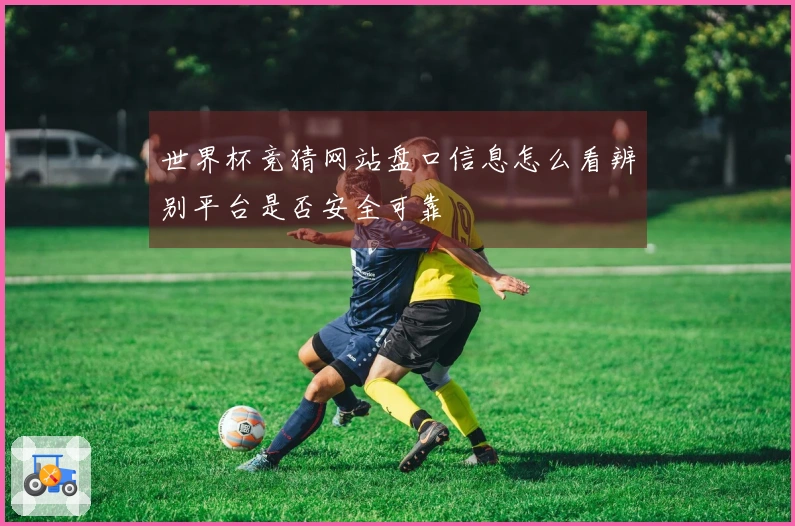 世界杯竞猜网站盘口信息怎么看辨别平台是否安全可靠
