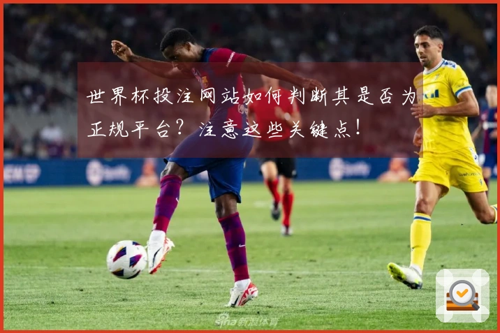 世界杯投注网站如何判断其是否为正规平台？注意这些关键点！