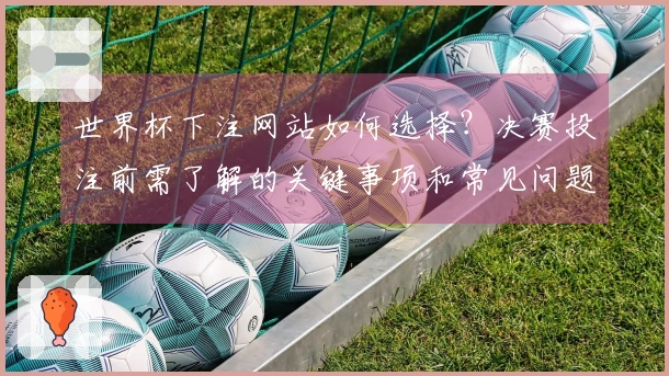 世界杯下注网站如何选择？决赛投注前需了解的关键事项和常见问题解析