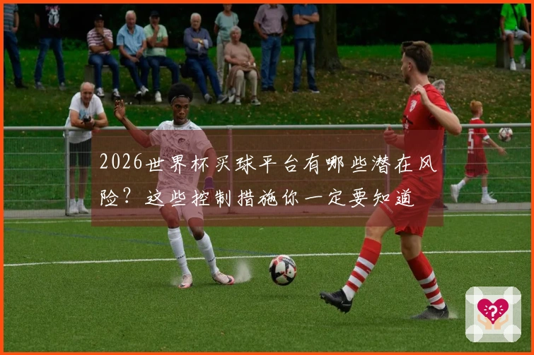 2026世界杯买球平台有哪些潜在风险？这些控制措施你一定要知道